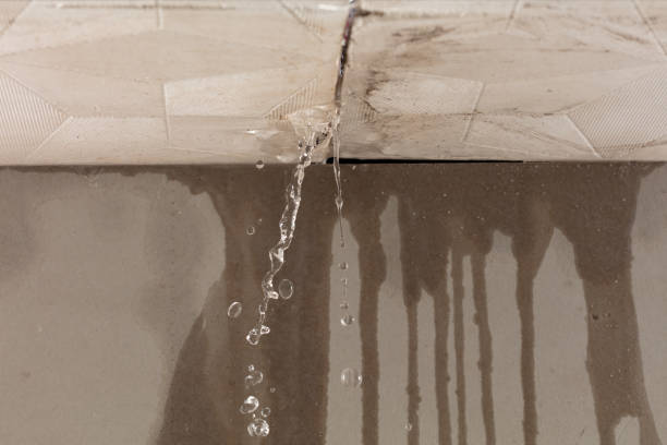 Professional Structural Drying technician working in Onondaga, MI